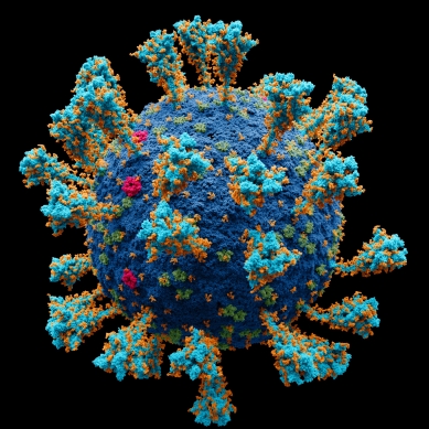 Coronavirus